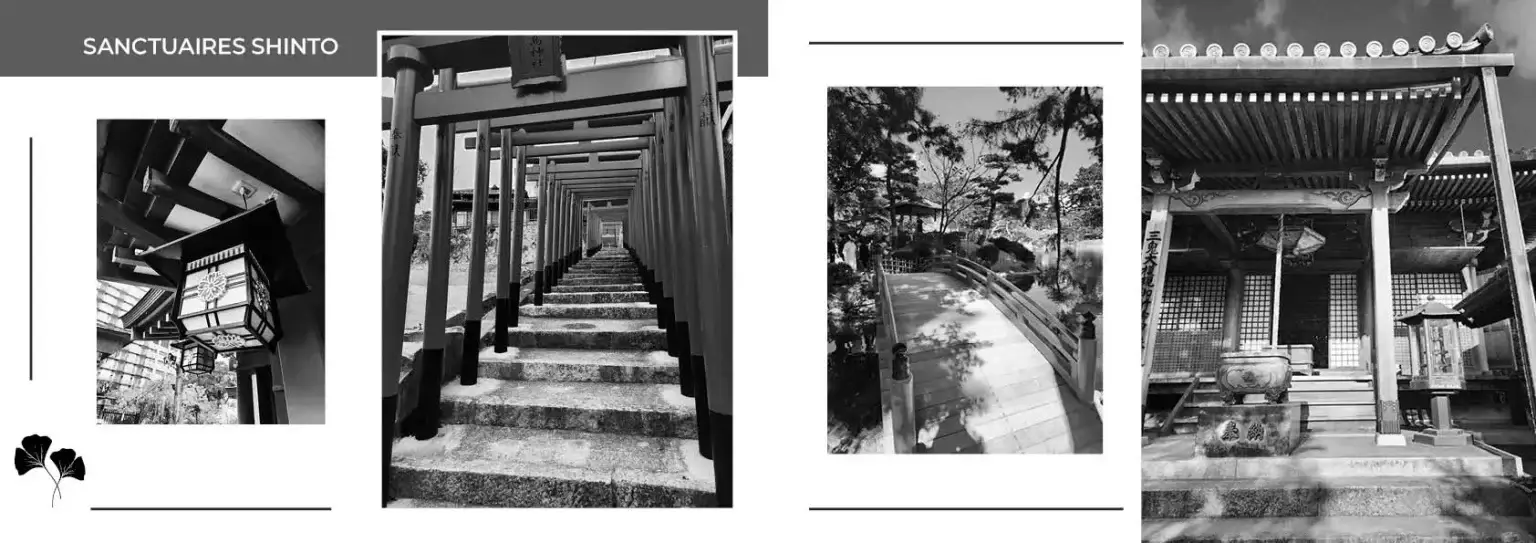 miyajima4